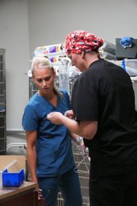 Vet tech Val Sovereign and Dr. Erin Schroeder check a urine sample from Kiyoni the cat. (National Geographic)