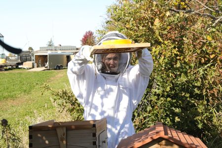 Beth Pol, in a bee suit, looks under a frame from one of the Pol family farm's bee hives. (National Geographic)