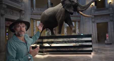 Dr. Steve Boyes stands in the rotunda of the Smithsonian Museum. He describes his emotions seeing Henry the elephant. (Credit: Skellig Rock, Inc)