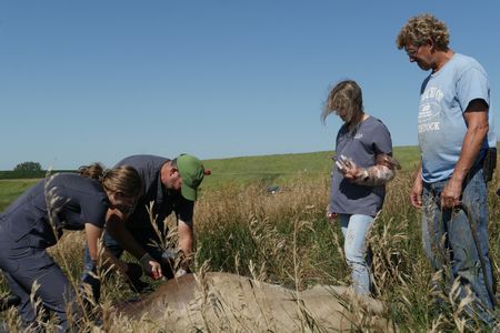 Vet tech Laurel Driver and Dr. Ben Schroeder work to sew up Remy the cow after an emergency C-section. Intern Mallorie Van Tassel and farmer Keith Sudbeck observe. (National Geographic)