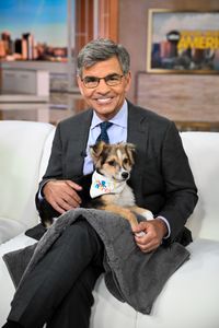 GEORGE STEPHANOPOULOS