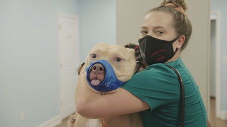 Riley, the dog, is showing us what she thinks about the muzzle. (National Geographic for Disney)