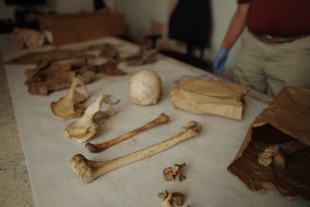 The skeletal remains of Jane Doe are laid out in the examination room of the Smith County Sheriff's Department. (National Geographic/Will Francome)