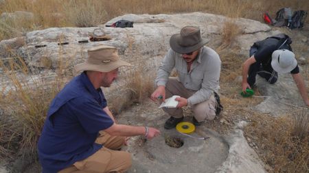 Prof. Ido Koch examines evidence of olive oil production in Tel Hadid, Israel. (Windfall Films)