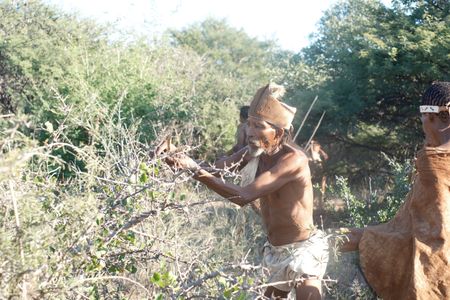 Member of the Nharo San community, Qhoeta Xhoema, observing a bush. (credit: National Geographic/Dionne Bromfield)