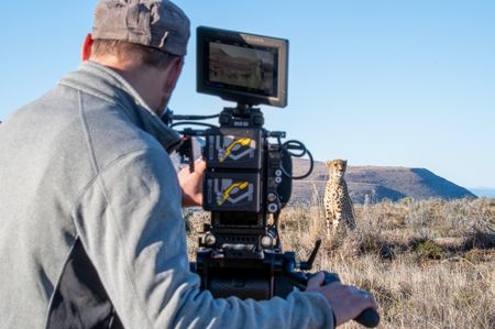 Camera operator Dominic Hamilton films a cheetah in the Sneeuberg Mountains. (National Geographic/Virginia Quinn)