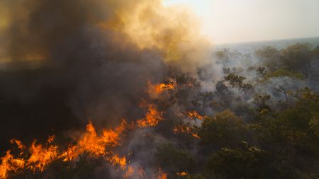 Fire burns in the savannah of Niokolo-Koba National Park. (National Geographic)