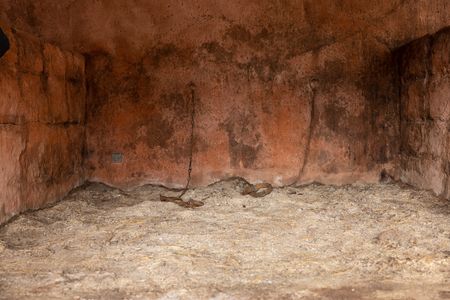 Inside a barracoon, replicas of shackles and chains serve as somber reminders of a painful past. (National Geographic/Chaneé Patterson)