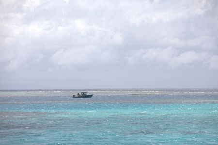 Catching Tiger Sharks in New Caledonia. (National Geographic/Sophy Crane)