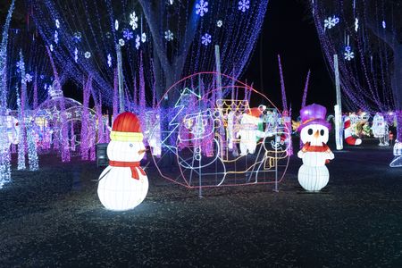 GREAT CHRISTMAS LIGHT FIGHT