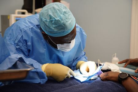 Dr. Hodges gets in close during a tricky surgery on Coco, the dwarf hamster. (National Geographic for Disney/Sean Grevencamp)