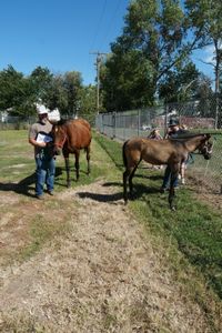 Joey Stansberry and his kids Harper, Hadley, and Haivyn watch their horses graze before a checkup exam. (National Geographic)