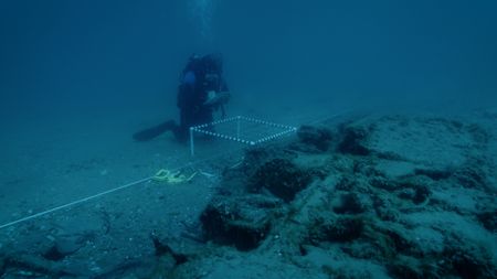Michigan's State Maritime Archaeologist Wayne R. Lusardi takes notes underwater at the site of the wreck of a P-39 airplane lost in the waters of Lake Huron in 1944. (National Geographic)