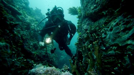 Albert Lin snorkels through an underwater site. (National Geographic/Pete Allibone)