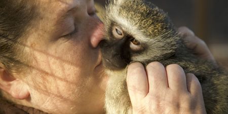 Belinda kissing a vervet monkey. (Big Wave Productions)