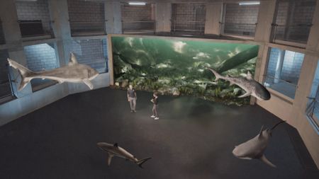 Dr. Diva Amon and Dr. Mike Heithuas speaking in the shark studio lab while various specifies of GFX sharks swim around the studio space. (National Geographic)