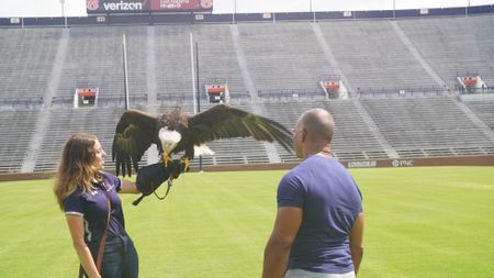Christian Cooper admires Independence, Auburn's honorary War Eagle, during her pre-gameday flight practice with raptor trainer Amanda Sweeney. (National Geographic for Disney)