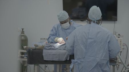 In for a routine neuter, Louis the dog, gives Dr. Hodges a run for his money with anything but a routine procedure. (National Geographic for Disney/Sean Grevencamp)