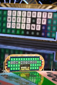 CELEBRITY WHEEL OF FORTUNE
