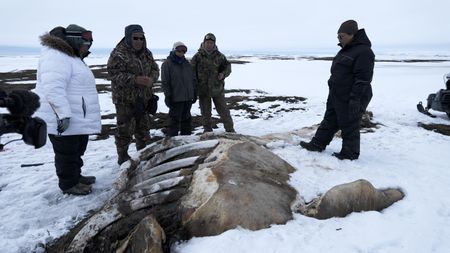 The Pingayak family finds a washed up whale on the frozen beach. (National Geographic/Matt Kynoch)