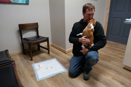 Owner Shawn Cosier kneels down as he holds his pet chihuahua Chico, who is back to feeling normal after eating the rat poison. (National Geographic)