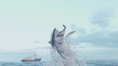 A GFX Great White shark bursting out of the ocean with a GFX seal in its mouth that it had hunted down. (National Geographic)