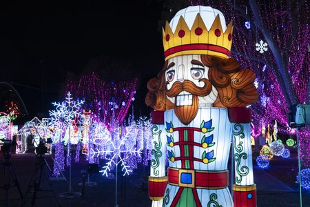 GREAT CHRISTMAS LIGHT FIGHT