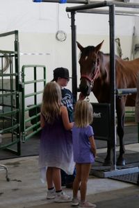 The Standsberry kids, Harper, Hadley, and Haivyn,  with one of their horses. (National Geographic)