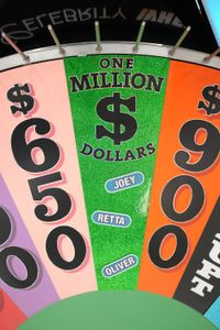 CELEBRITY WHEEL OF FORTUNE