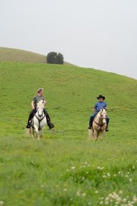 Gordon Ramsay and Dr. Tim Richards ride horses at the beef farm. (National Geographic/Justin Mandel)