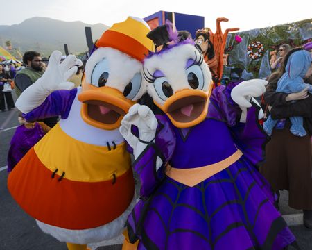 DONALD DUCK, DAISY DUCK