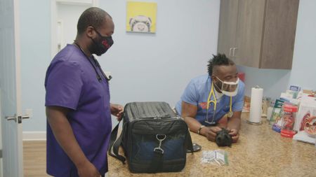 Dr. Hodges and surgery tech Paul examine Bear and Blossom, the guinea pigs. (National Geographic for Disney)