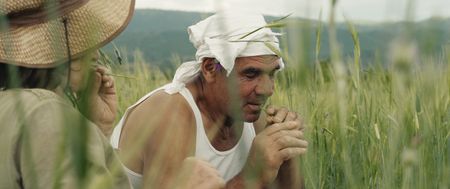 Nikola and Jana sitting in a wheat field discussing their life and love. (Credit: Ciconia Film/Jean Dakar)