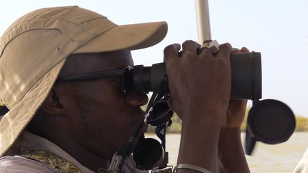 Eco-guard Mohamedine Seck watches the birdlife of Djoudj wetland through binoculars. (National Geographic)