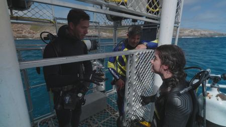 Experts Ryan Parker, Charlie Huveneers and Melissa Marquez discussing the aftermath of their recent dive to assess a large Great White shark in the water. (National Geographic/Jonathan Shaw)