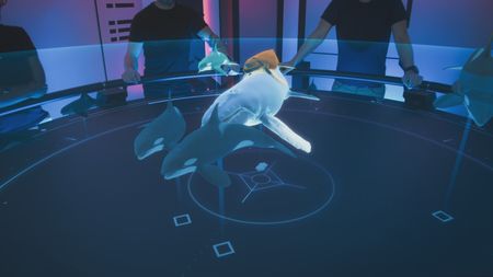 The Hololab reveals the orca's hunting strategy and shows that members of the pod harass the mother whilst the matriarch uses her experience to knock the humpback calf from the back of its mother. (National Geographic)