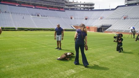 Christian Cooper assists rator trainer, Amanda Sweeney, with Independence's pre-gameday flight practice. (National Geographic for Disney)