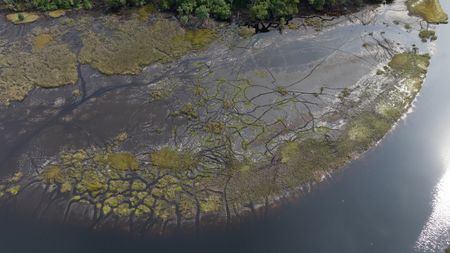A lagoon in the coastal forests of Gabon. (National Geographic/Sean Bellon)
