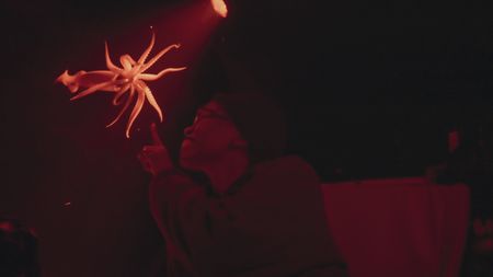 Zoleka Filander is greeted by an Atlantic bird squid during the team's descent in the submersible. (National Geographic)