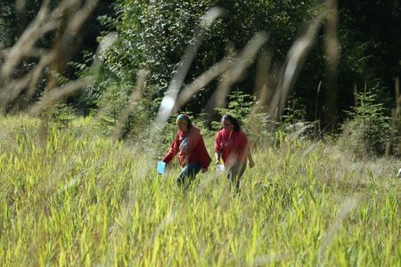 Veronica Arrants and Breanna Miethe pick berries. (National Geographic/Wayne Moss)