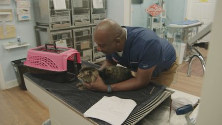 Dr. Ferguson and Lucky, the cat, have a quick conversation about Lucky's prognosis. (National Geographic for Disney)