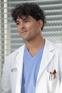 NIKO TERHO