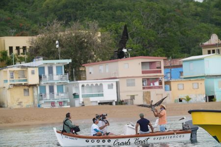 Christian Cooper takes to the sea to meet "Captain Pelican" who has a special bond with the seabirds on the west side of the island. (National Geographic for Disney)