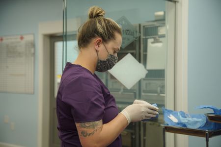 Vet tech, Jordan Howell, gets a surgery pack ready for use in the surgery suite. (National Geographic for Disney/Felix Rojas)