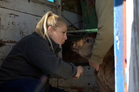 Dr. Nicole gives Paula's cute little calf an air kiss for being a great patient. (National Geographic/Grace Sabwira)