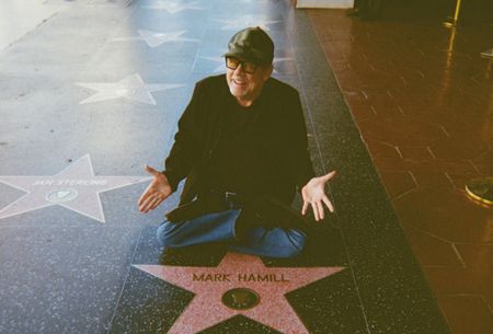 MARK HAMILL