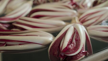 TUCCI IN ITALY - “Veneto” - Cleaned radicchio heads, trimmed of outer foliage, resting in metal tanks. (National Geographic)TUCCI IN ITALY