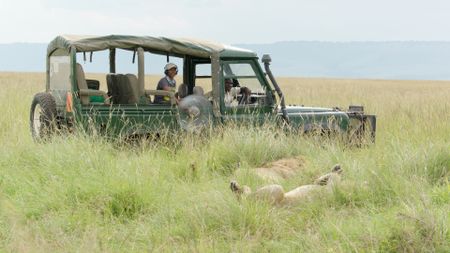 Alice Owen records the sounds of sleeping lions from inside a vehicle, capturing the subtle ambiance of the pride at rest. (National Geographic/John Aitchison)