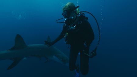 Mariana van Zeller shark dives off the coast of Florida. (National Geographic)