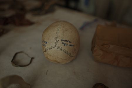 The skeletal remains of Jane Doe. (National Geographic/Will Francome)